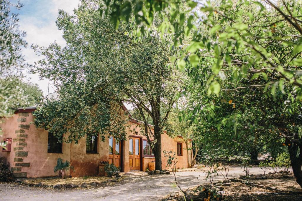 Upper Wakefield Hotel | Terroir Auburn