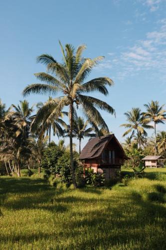 Tetebatu House | Tetebatu Rice field bliss