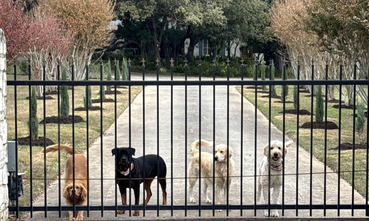 Oakland Estates Other | Texas Barn-House, Rustic, Peaceful in Heart of Med Ctr, permit STR-22-13500017