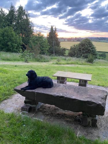 Llangrove House | Thatch Close Cottages