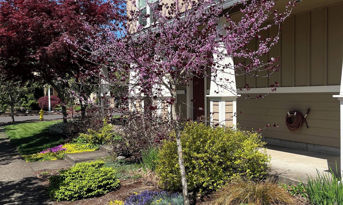 Albany House | The Albany Guest House