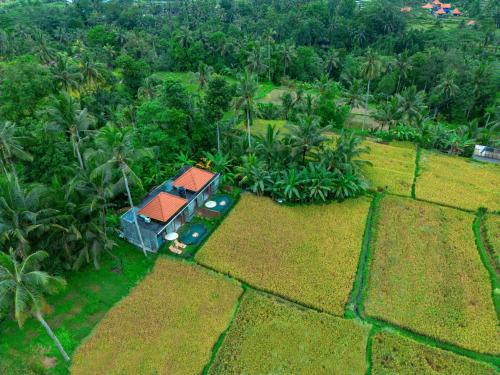 Melayang Resort | The Alus Cottage and Villa