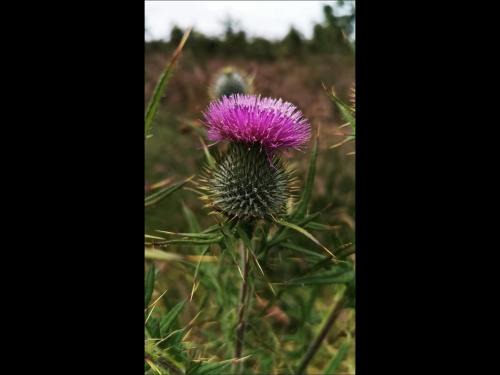 North Watten Bed & Breakfast | The Anchorage B and B