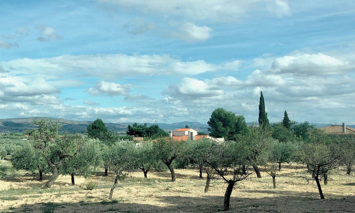 Caudete Villa | The artist's house, 3 bedrooms, 6 guests, private pool, garden, air conditioning