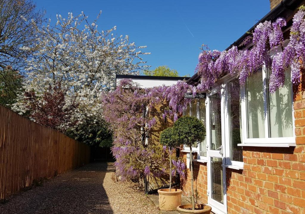 Maidenhead House | The Bakehouse Guesthouse