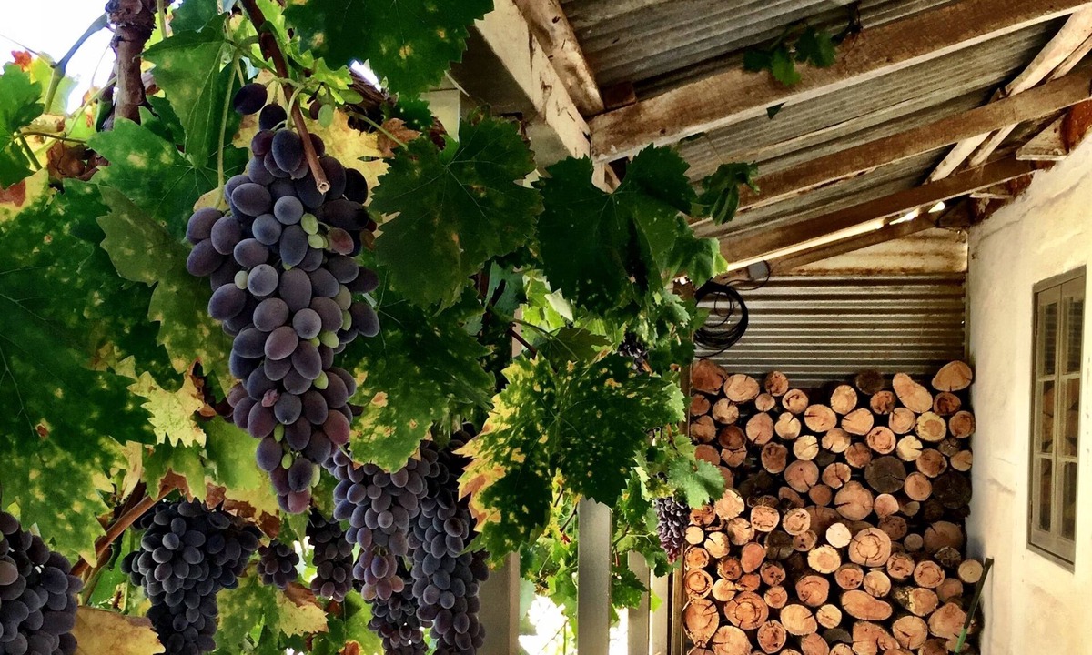 Penrice House | The Barn - a little bit rustic, a little bit luxe