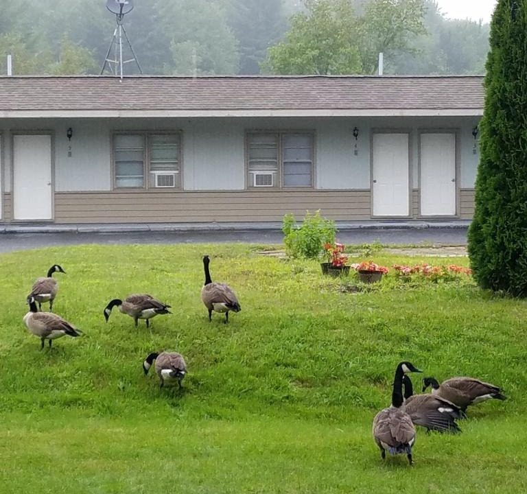 Becket Hotel | The becket Motel