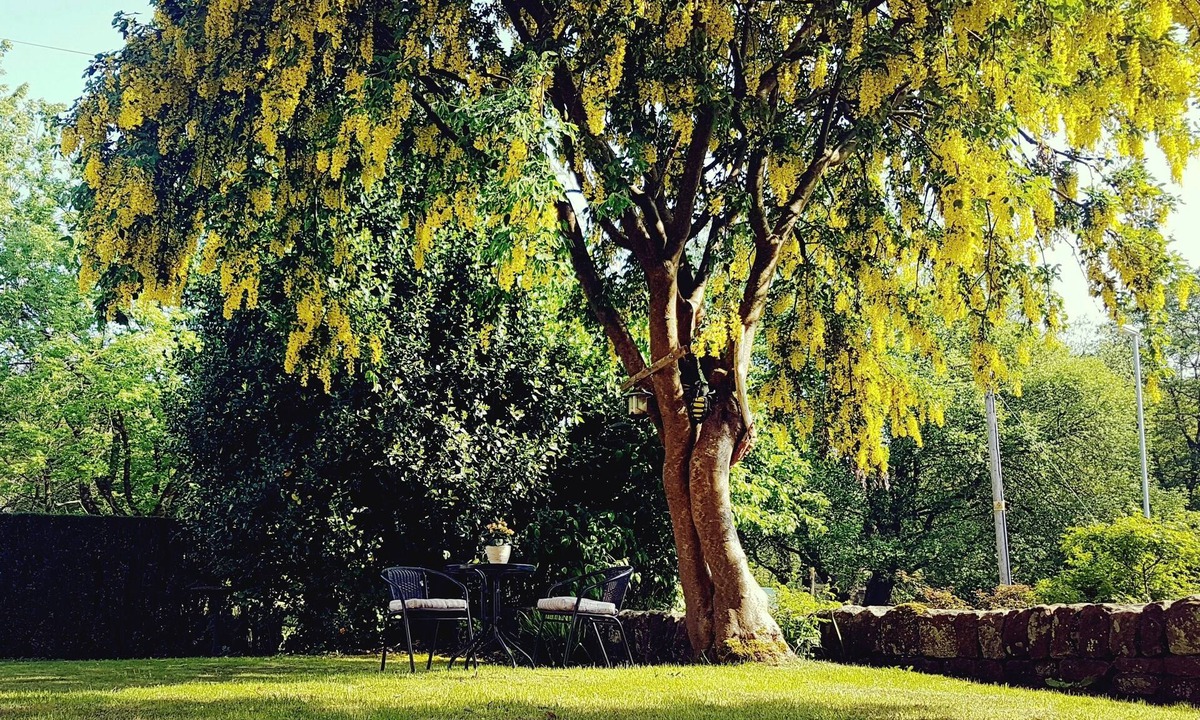 Oakamoor House | The Beehive Guest House