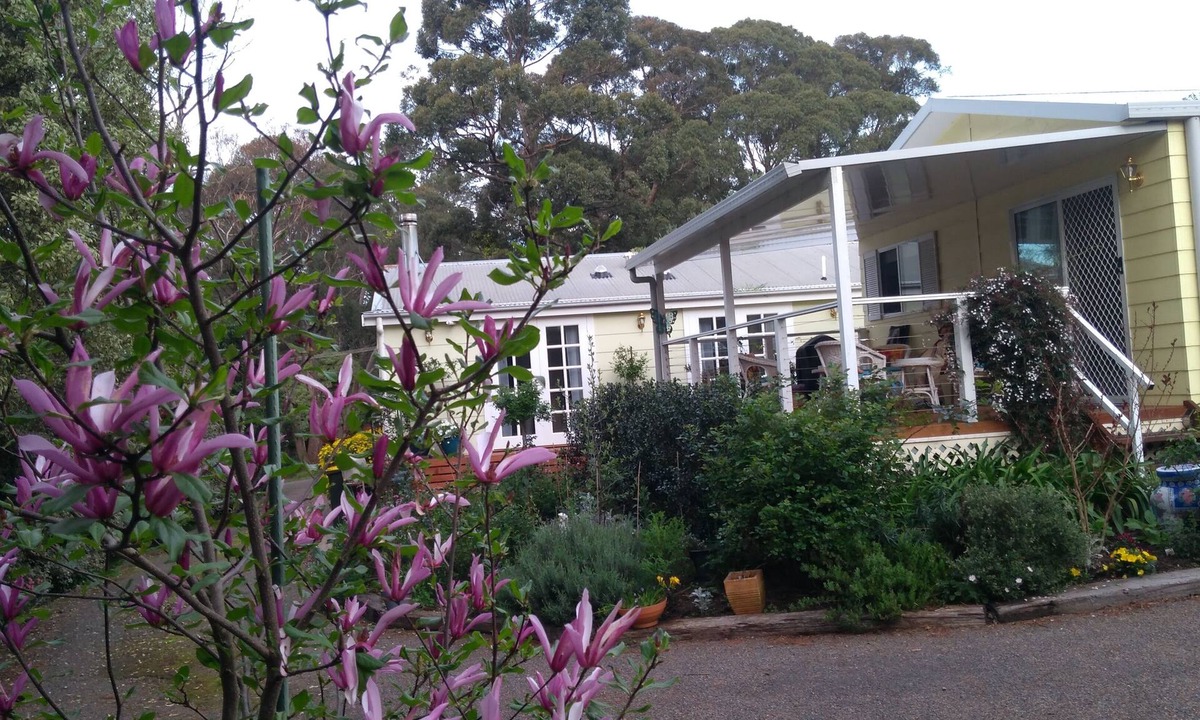 Bundanoon Cottage | The Best Exotic Magnolia Cottage