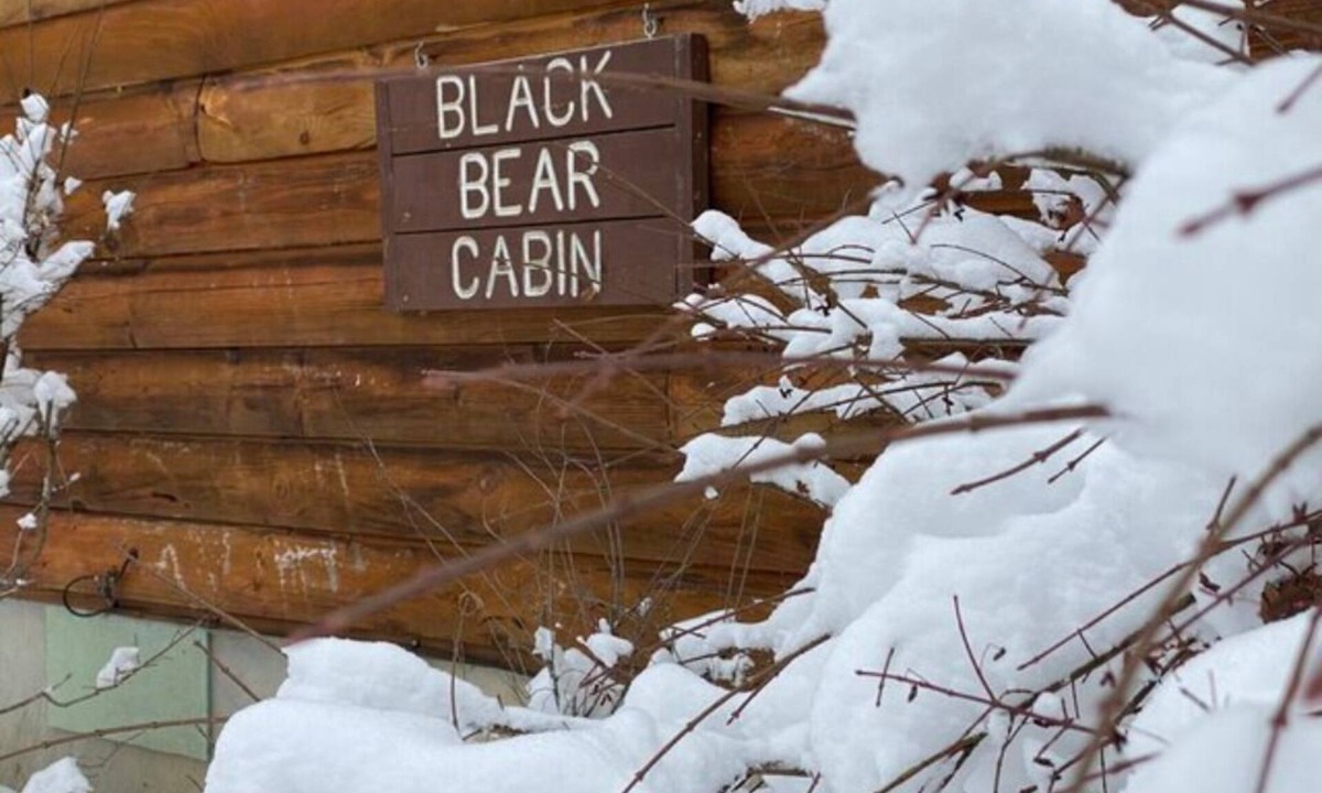 Bruceton Mills Cabin | The Black Bear Cabin