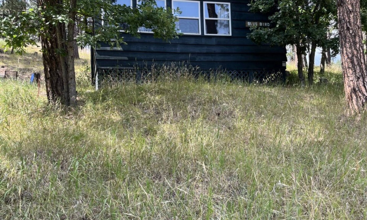 Keystone Cabin | The Blue Bird Cabin