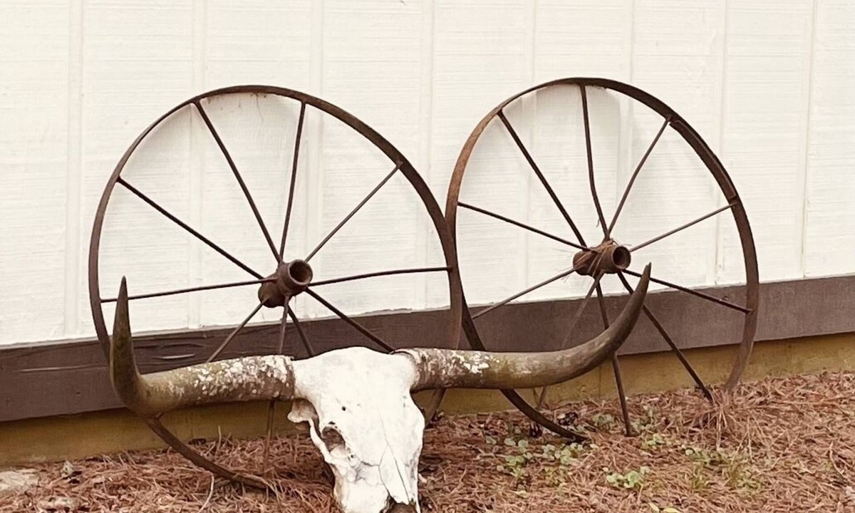 Madison Cabin | The Bunkhouse