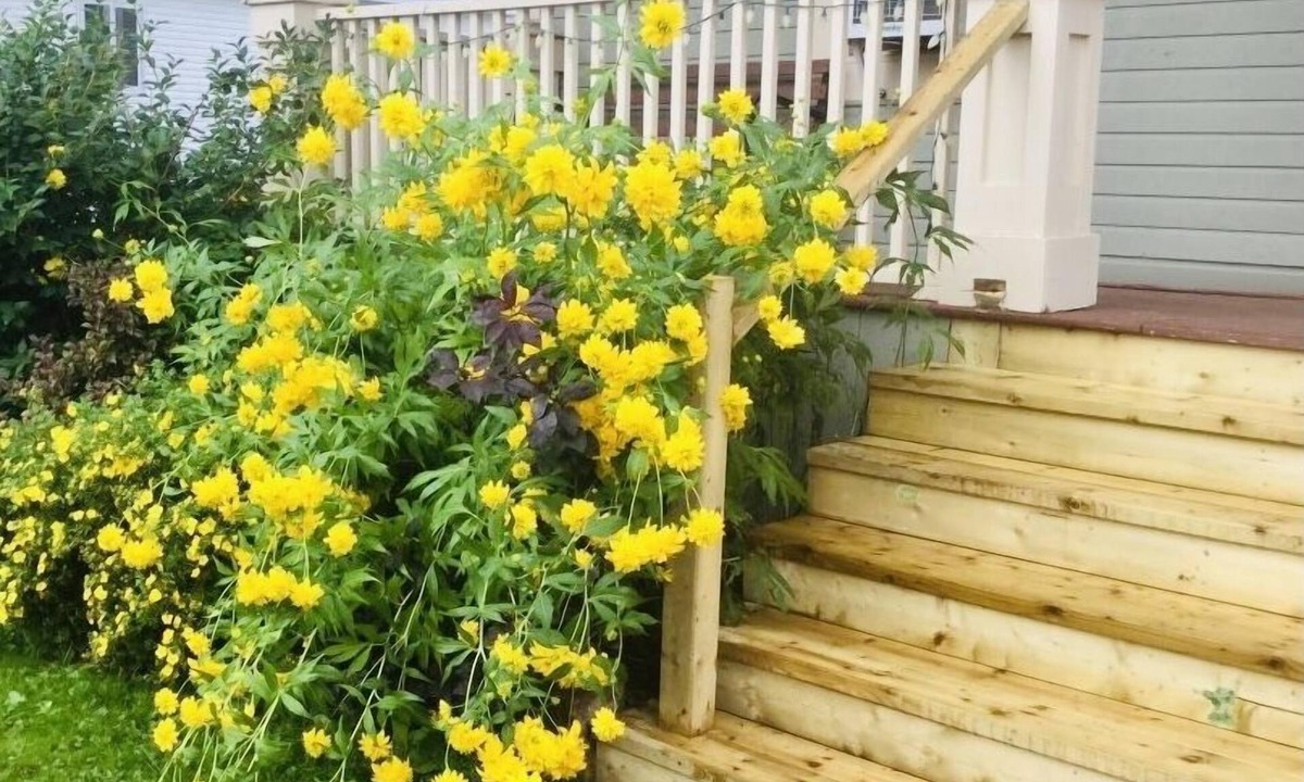 Grand Falls - Windsor Bed & Breakfast | The Carriage House Inn