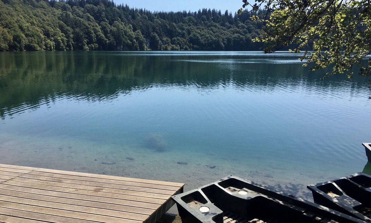 Murol Apartment | The castle terraces - Murol - Studio 4p