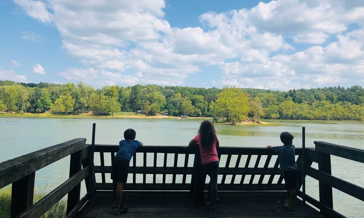 Piedmont Cabin | The Cedar Cove Cottage