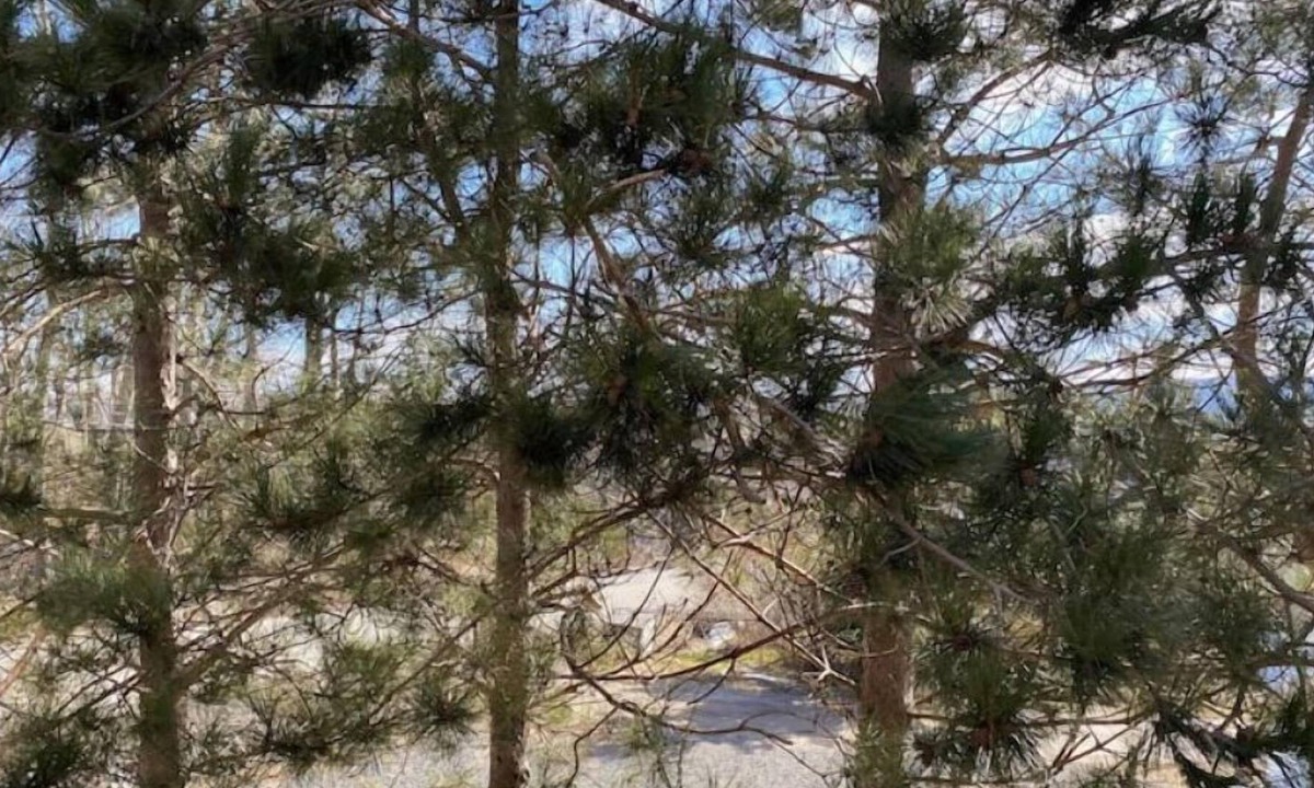 Inverness House | The Ceilidh Corner