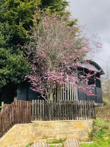 Sibford Gower House | The Cherry Tree Gypsy Wagon
