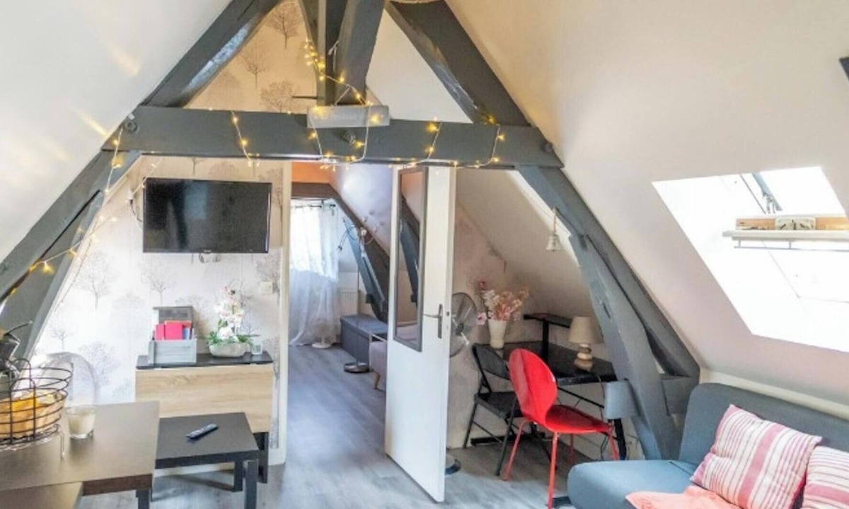 Blois Apartment | The Cocoon Warm Apartment in the Heart of Blois