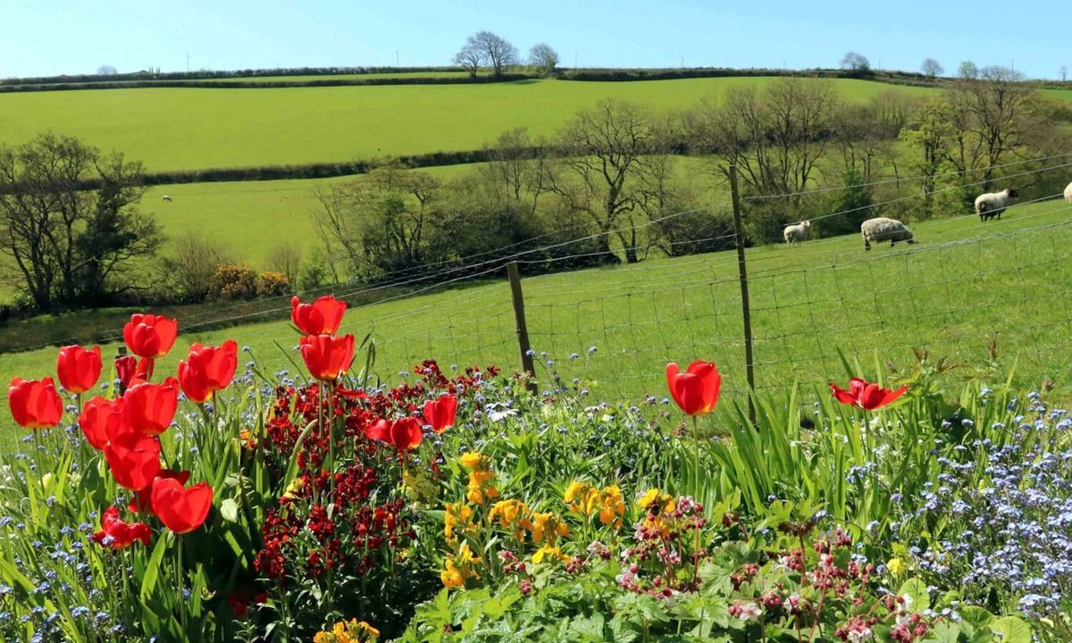 Bideford Cottage | The Cottage