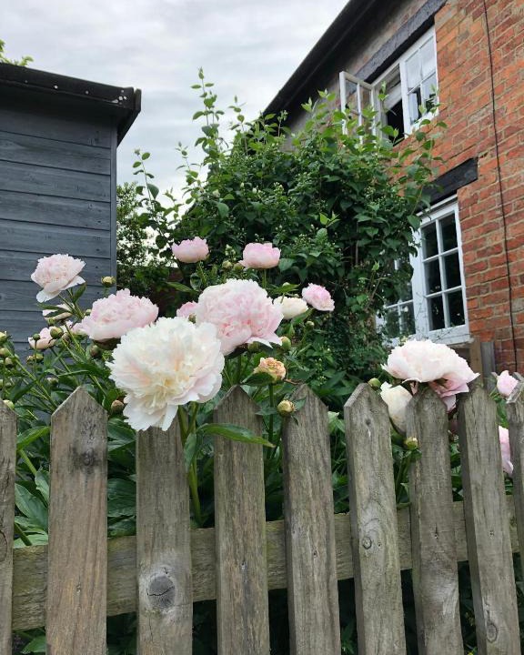 Sulgrave House | The Cottage