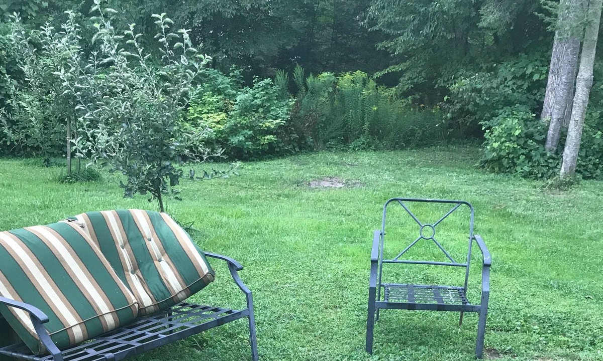 Ashfield-Colborne-Wawanosh House | The Cottage is pet friendly