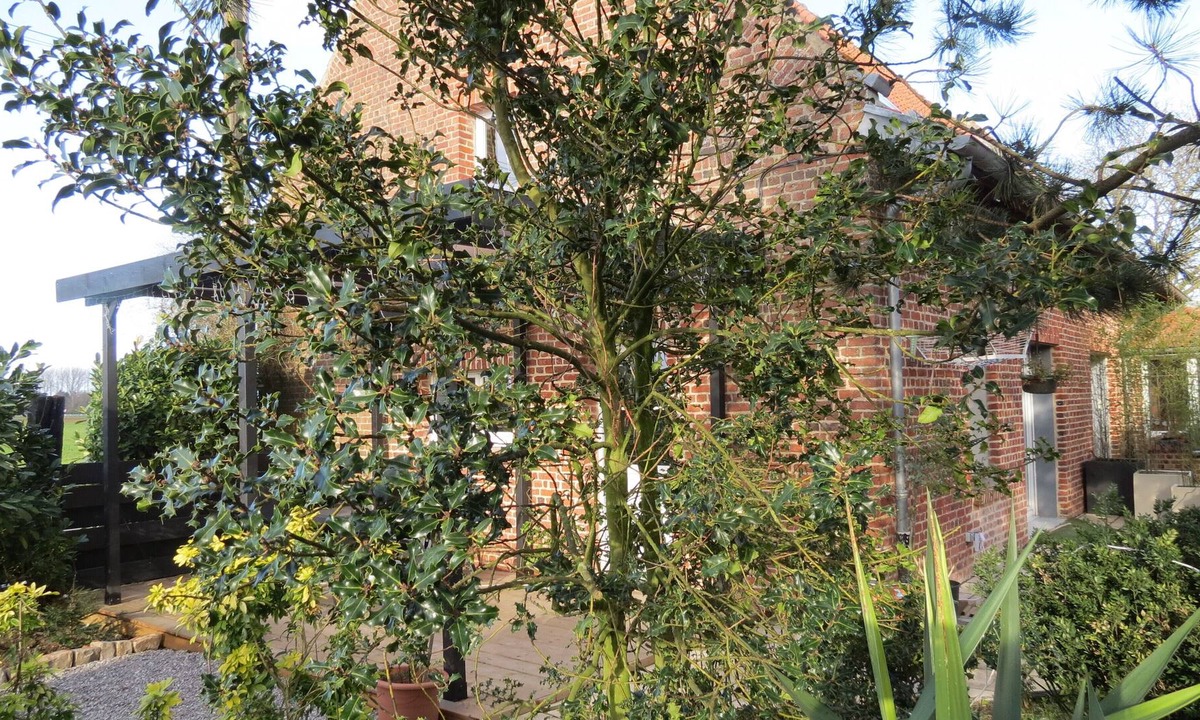 Nieppe House | the cottage millers