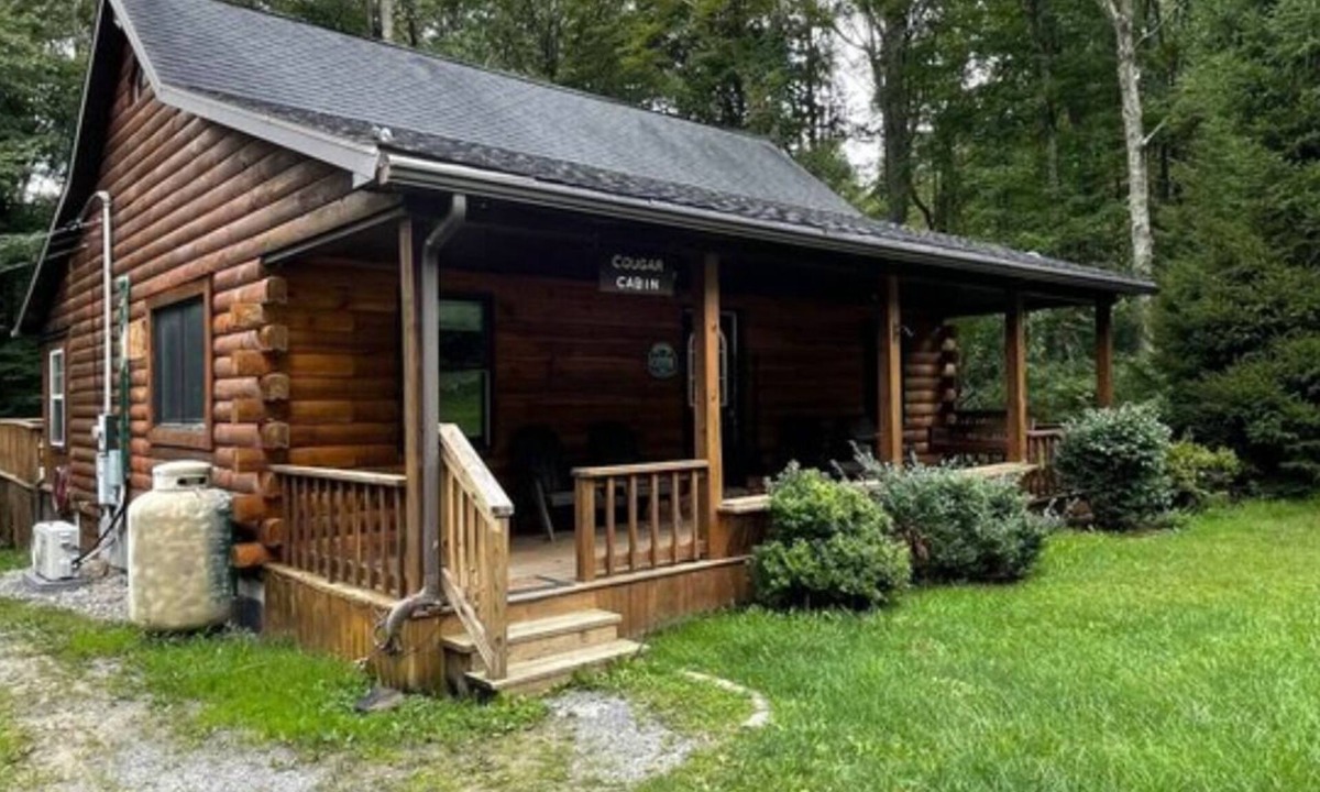 Bruceton Mills Cabin | The Cougar Cabin w/King Bed