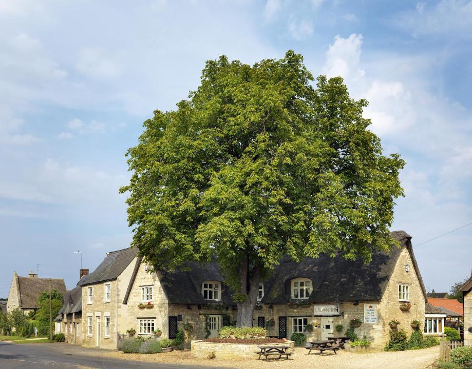 Elton Hotel | The Crown Inn