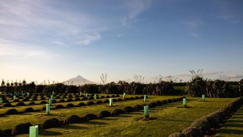 Normanby House | The Distillery- Lavender Farm Studio apartment