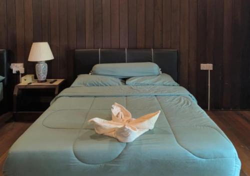 Kuching Cabin | The Doctor's Stay