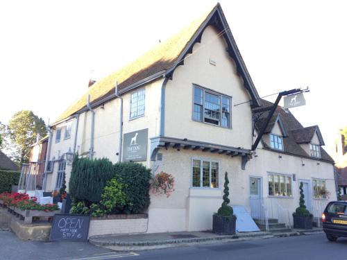 Wingham Hotel | The Dog At Wingham