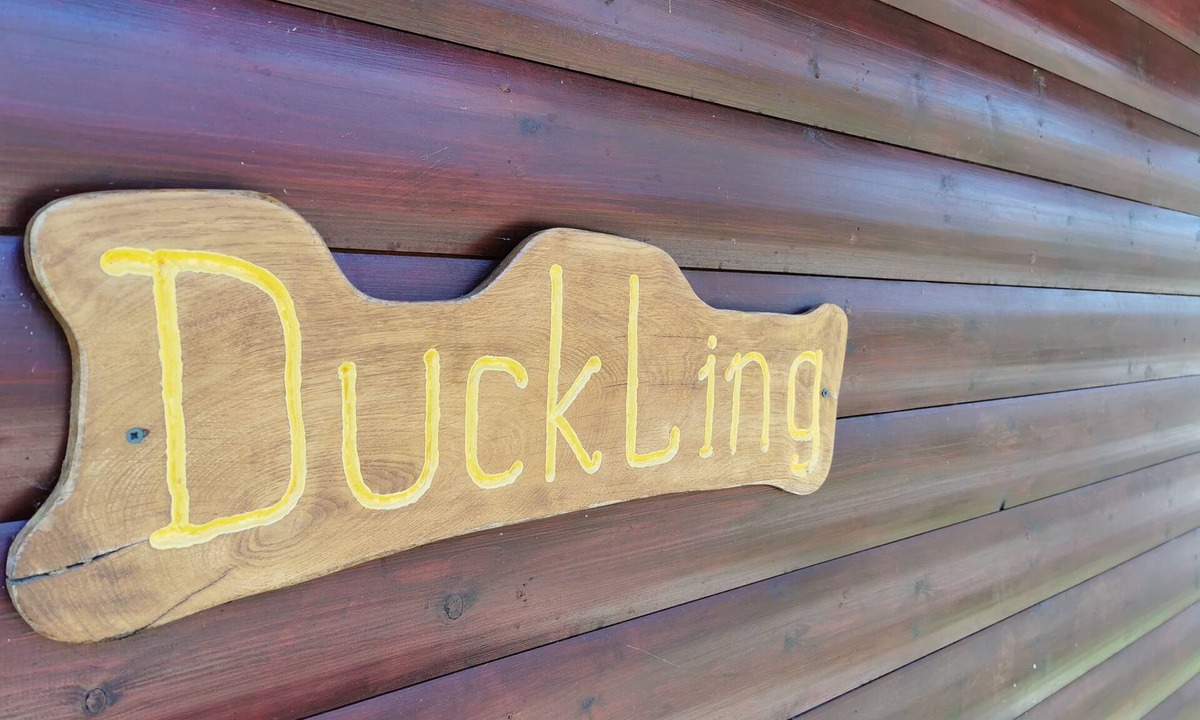 East Huntspill Cabin | The Duckling Lodge (private hot tub)