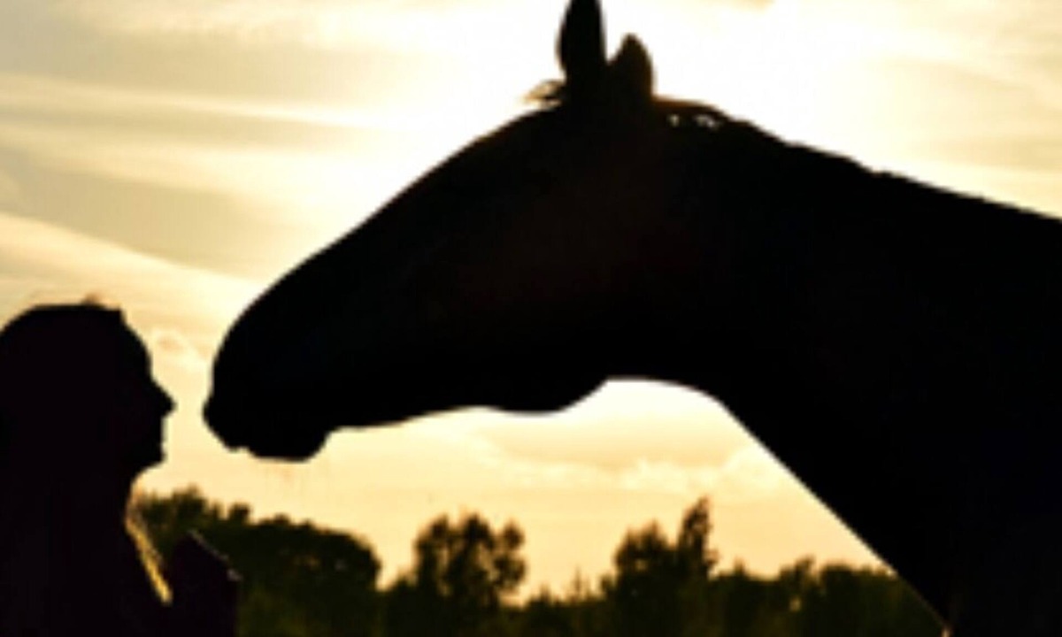 Pentrefelin House | The Dutchy is a Dutch Barn Conversion