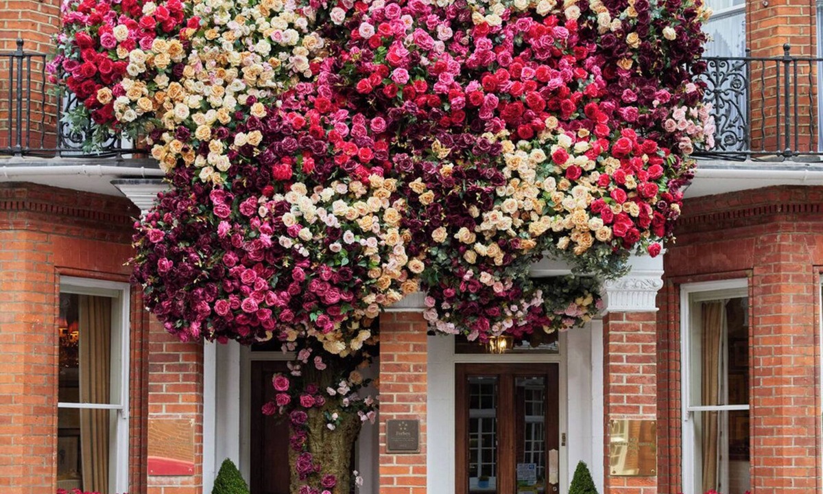 Brompton & Hans Town Hotel | The Egerton House Hotel