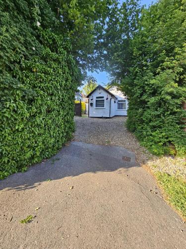 Watford Apartment | The Enchanted House