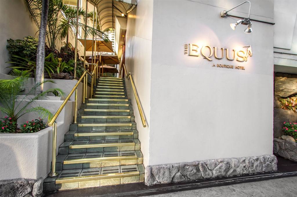Waikiki Hotel | The Equus