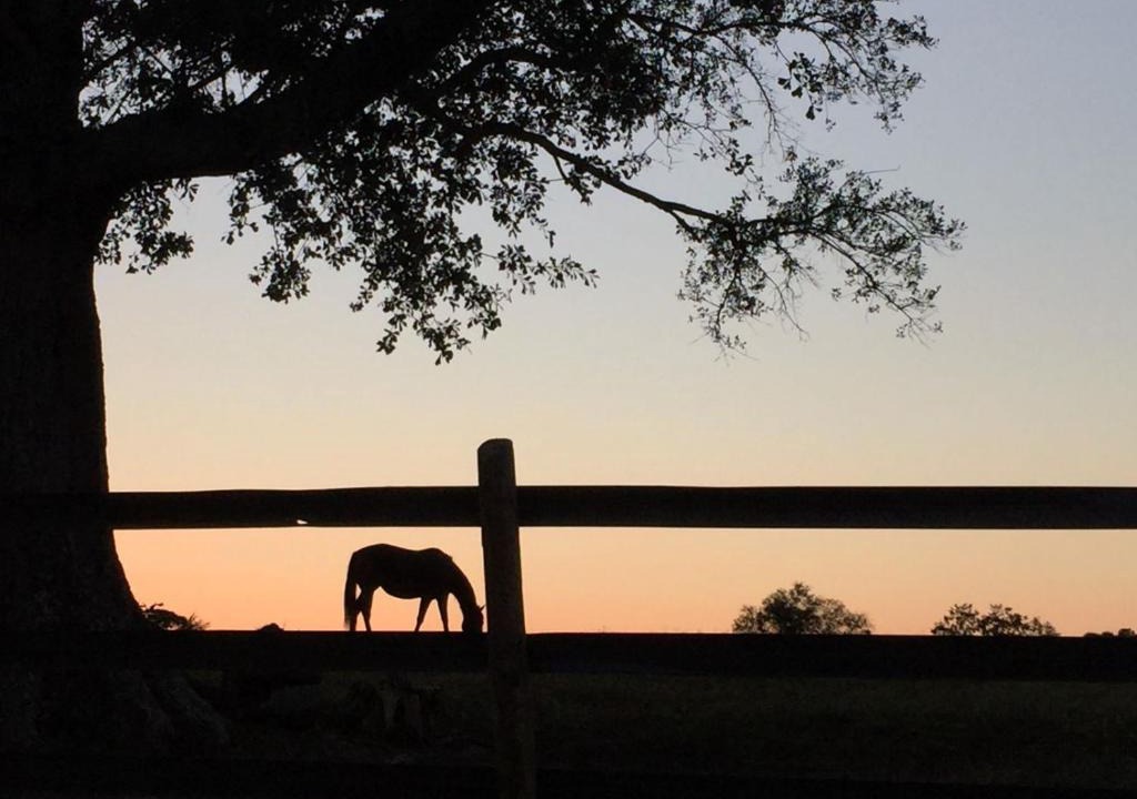 Madison Bed & Breakfast | The Farmhouse Inn