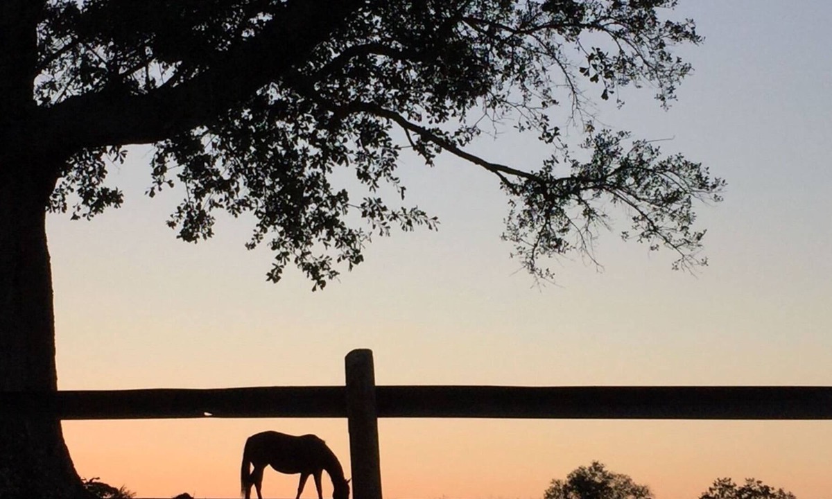 Madison Bed & Breakfast | The Farmhouse Inn