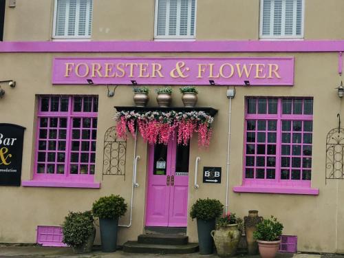 Combe Down House | The Forester and Flower