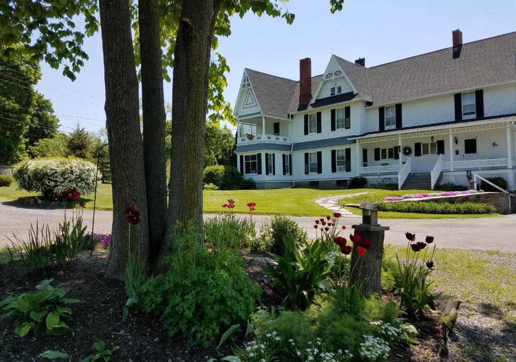 Lodi Bed & Breakfast | The Fox and the Grapes