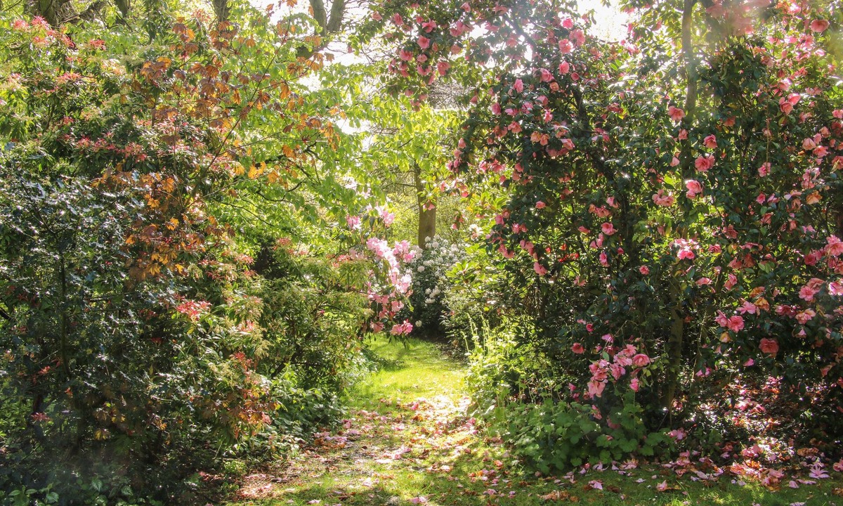 Bridgnorth Cottage | The Garden Lodge