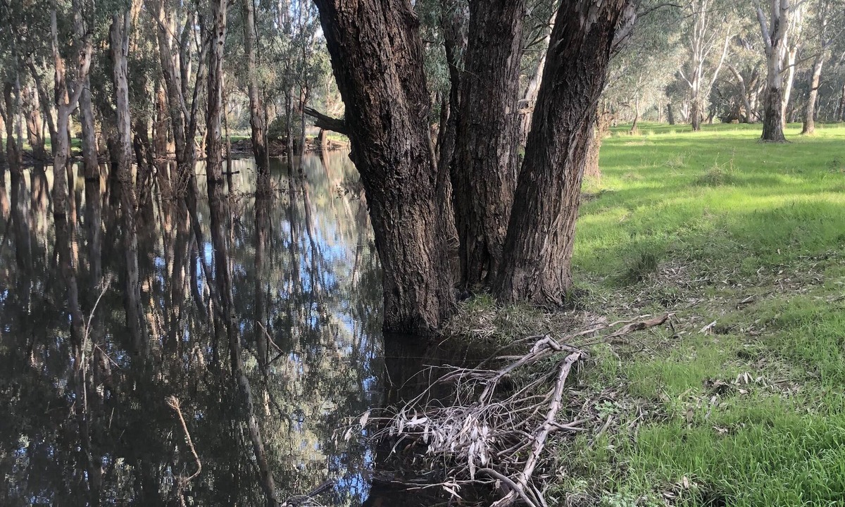 East Wangaratta House | The Glenn on Ovens River