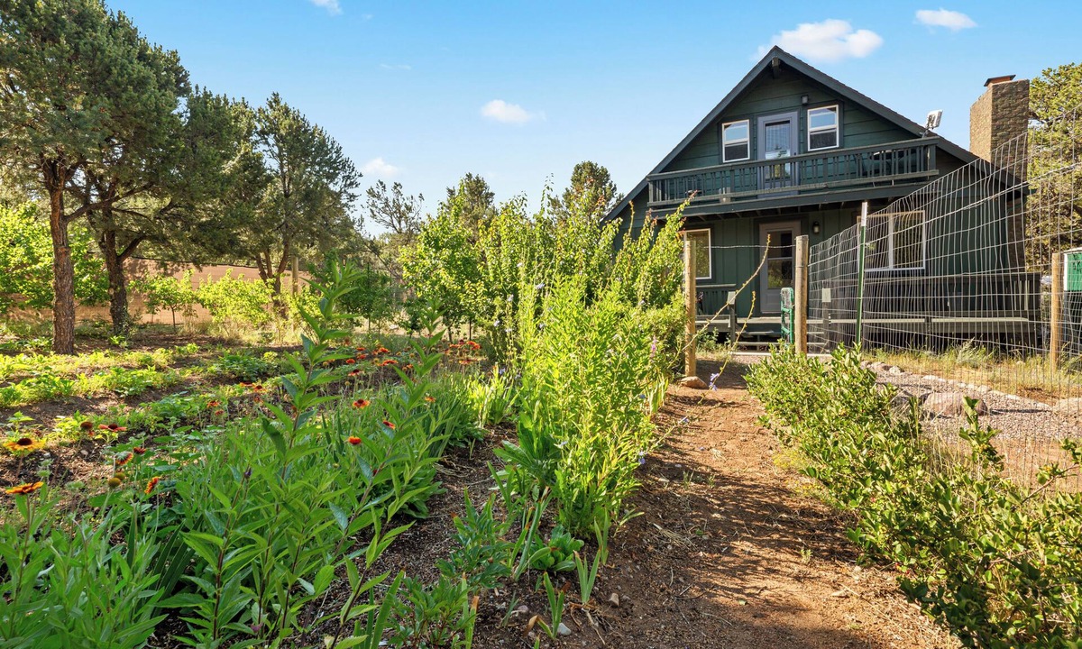 Baca Grande Cabin | The Green Gem