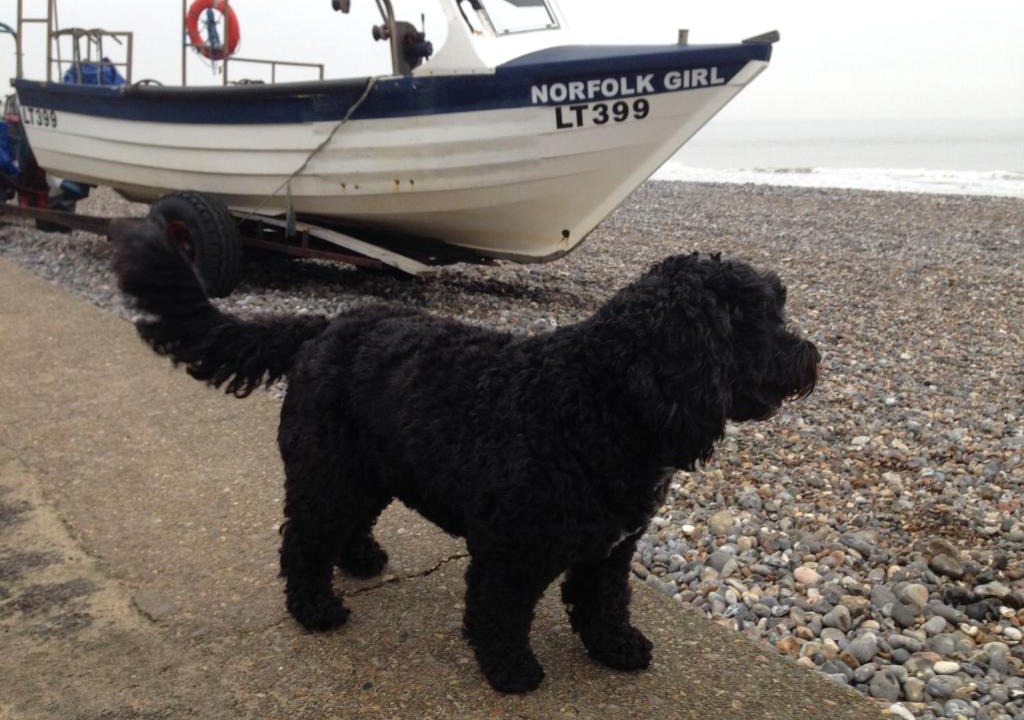 Southrepps House | The Hamlet