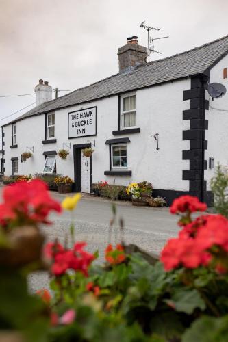 Llannefydd Bed & Breakfast | The Hawk & Buckle Inn