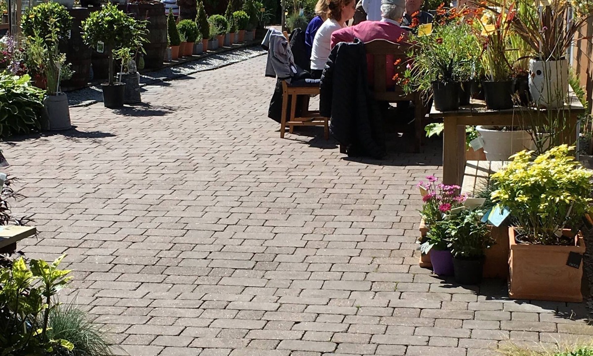 Gigha Bed & Breakfast | The House at Glenbarr