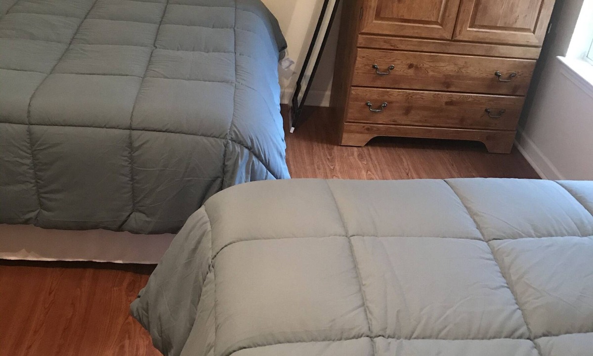 Dallas House | The Hummingbird Seed