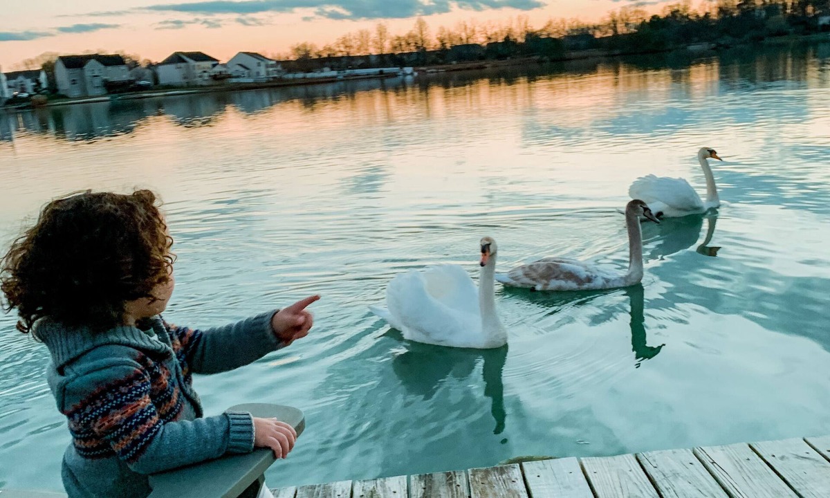 Sicklerville House | The Lake House