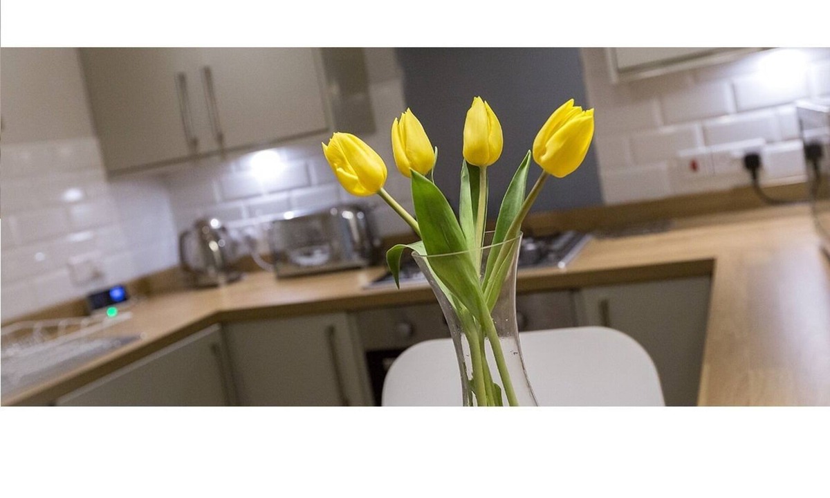 Morningside Apartment | The Lane Apartment