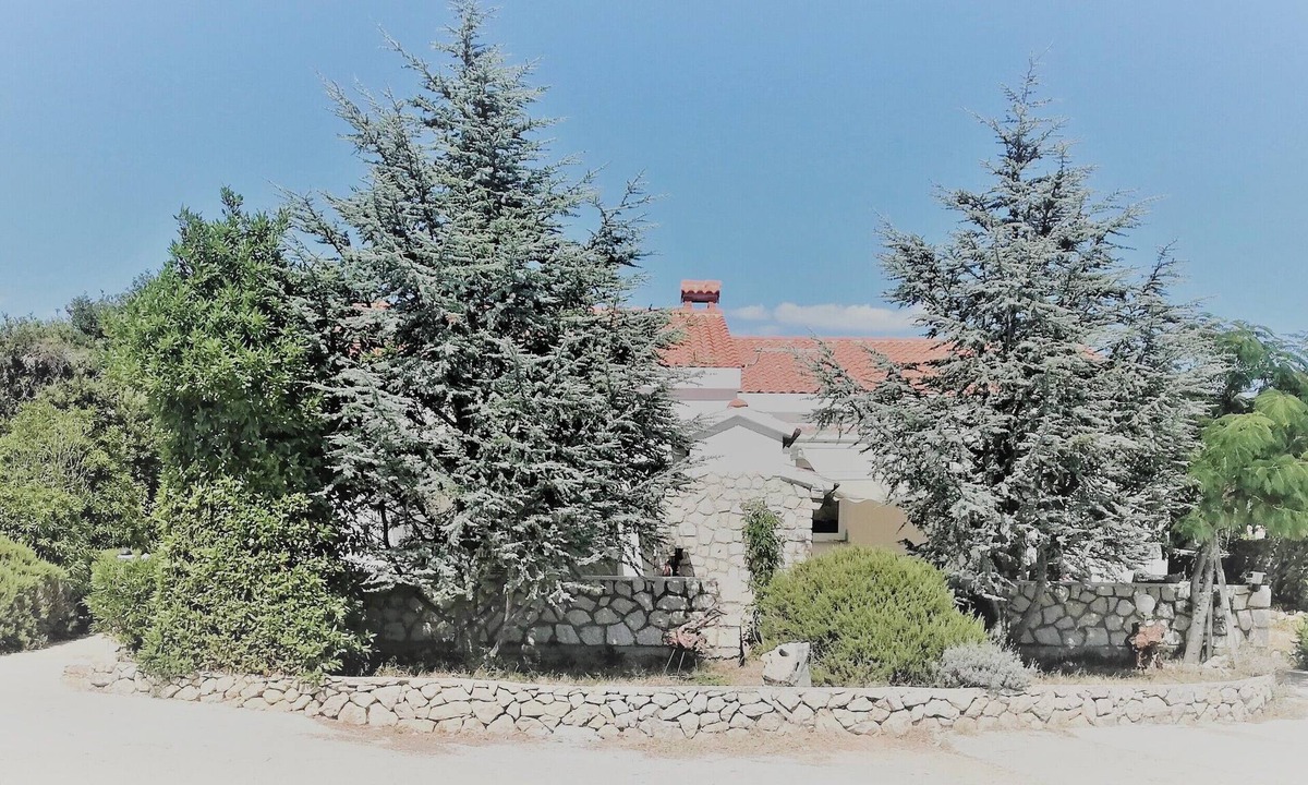 Kolan Villa | The Lavender House- your perfect getaway in Mandre
